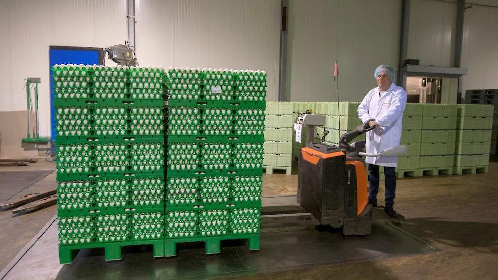 Bij binnenkomst worden de eieren gewogen. De groene trays en pallets zijn kenmerkend voor Wulro.