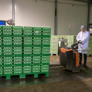 Bij binnenkomst worden de eieren gewogen. De groene trays en pallets zijn kenmerkend voor Wulro.