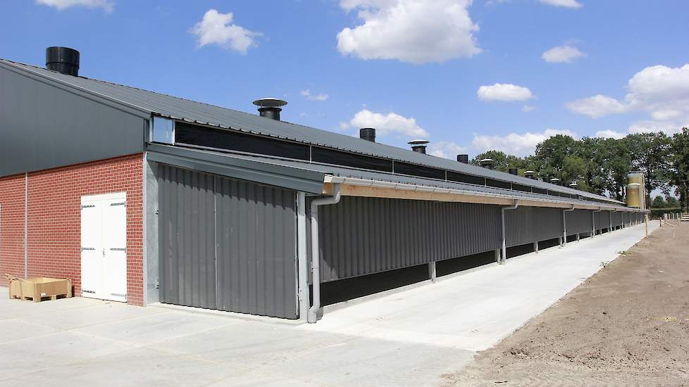 Tussen het dak van de stal en de overdekte uitloop zit een opstaande lichtstraat. „Bij veel stallen zit de lichtstraat in de muur tussen stal en overdekte uitloop en komt er via de lichtstraat indirect licht binnen. Bij ons komt direct zonlicht de stal in