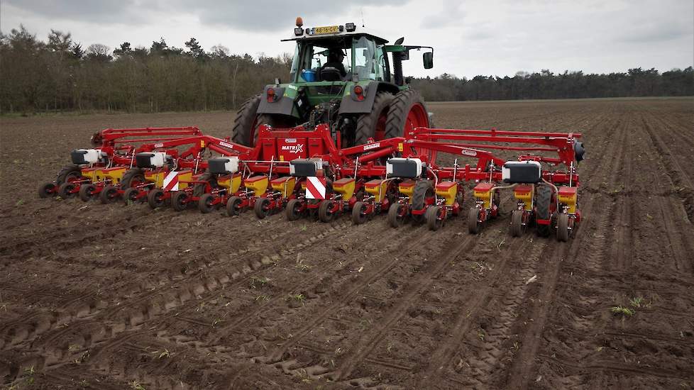 Voor het zaaien doet Thur al enkele tientallen jaren een beroep op loonbedrijf Ploegmakers uit De Rips (NB). De Urselina’s worden dit jaar op 19 centimeter afstand gezaaid.