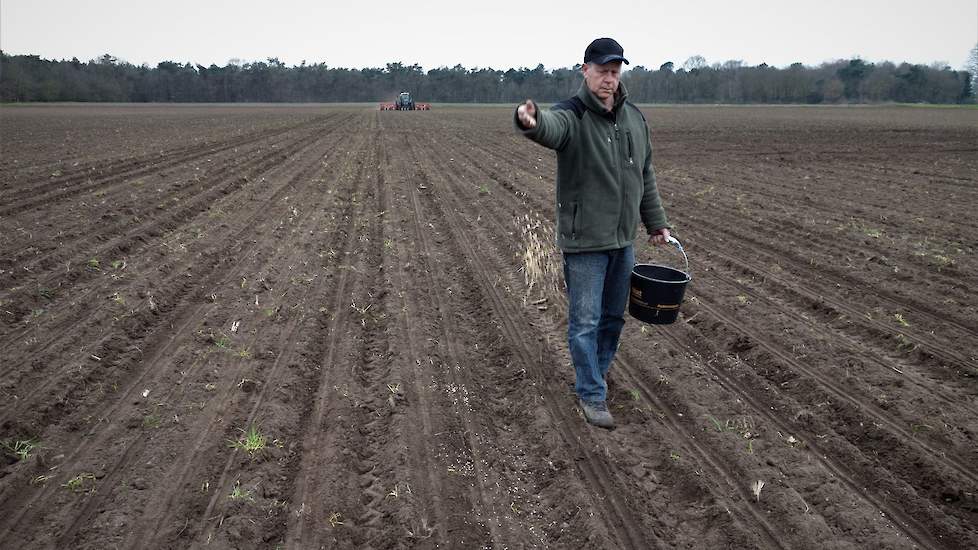 Terwijl de 18-rijige Grimme Matrix de bietenpillen gps-gestuurd in de Brabantse bosgrond legt, loopt Thur met een emmer vol kippenvoer over de akker en strooit hier en daar wat uit. „Muizen hebben ook gps, want in het begin graven ze elk bietenzaadje heel