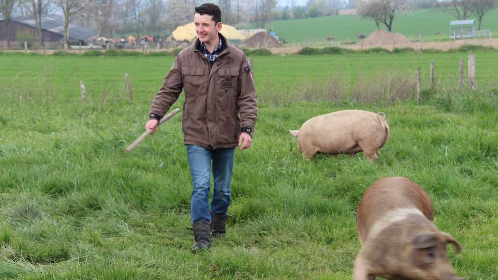 Joshua mag van gemeente en provincie voor zijn maatschappelijk voorbeeldbedrijf  géén enkele steen leggen voor de bouw van een nieuwe (kleinschalige) stal in het heuvelland. Met zijn paar varkens valt hij onder de intensieve varkensbedrijven.