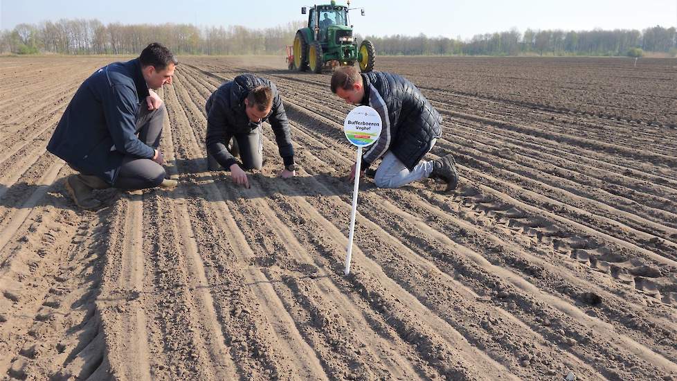 Twee studenten van de HAS - Pol van de Vijver (m.) en Rick van Hooijdonk (r.) - doen in het kader van hun afstudeeropdracht binnen het project Bufferboeren onderzoek en dragen tussentijds eventuele  verbeterpunten aan. Verder krijgen de deelnemende boeren