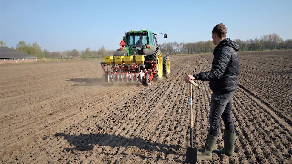 Op het perceel waar de uien van het ras Sunskin (Syngenta) nu zijn gezaaid, hebben afgelopen jaar suikerbieten gestaan. Beekmans: „De uiteindelijke opbrengst was gelijk. Maar op het NKG-perceel was de beginontwikkeling van de bieten in de eerste tien weke