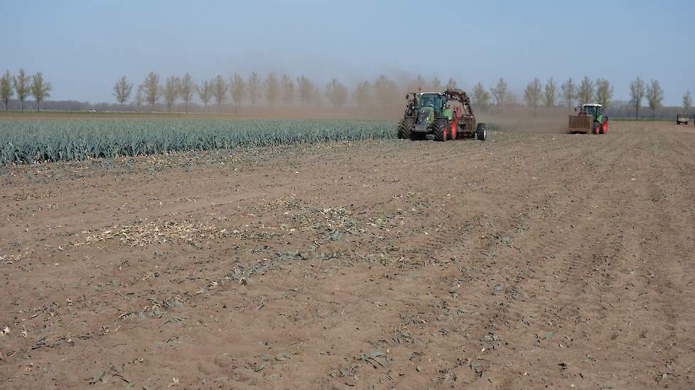 Op het perceel waar de Pluston heeft gestaan, komt in eerste instantie geen nieuw gewas te staan. De grond krijgt eerst rust en pas in juni volgt er een groenbemester die weer voor voldoende organische stof in de bodem moet gaan zorgen.