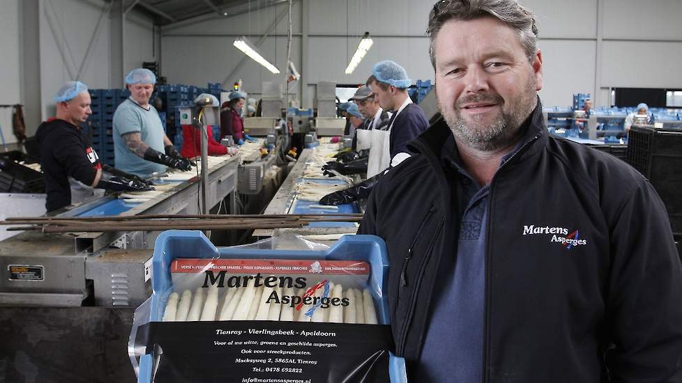 Het bedrijf van Ron (foto) en Peter Martens teelt in totaal vijf witte rassen, te weten Cumulus, Backlim, Gijnlim, Grolim en Prius. De groene asperges dragen namen als Eros, Ercole en Millennium.