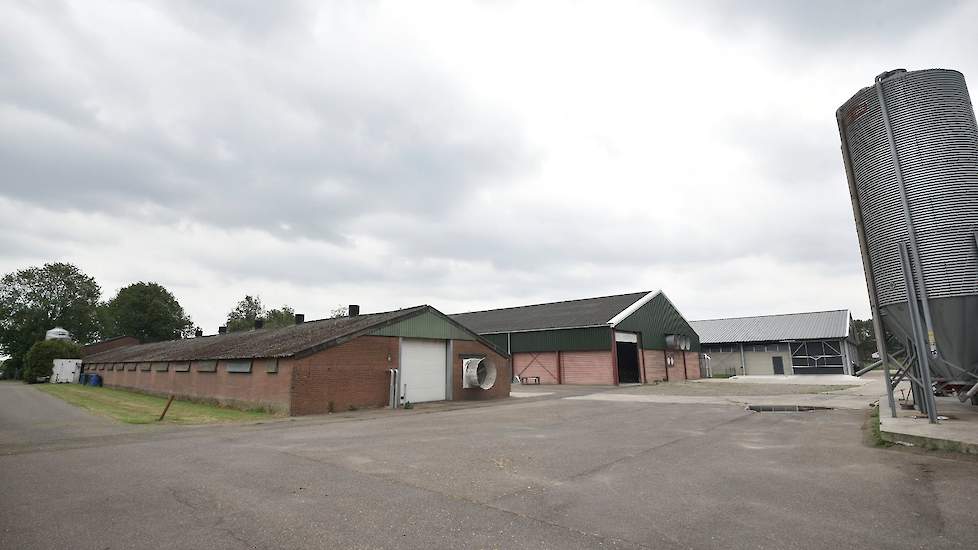 Hun oudste stal stamt uit de jaren zeventig (links op de foto). Na de ingebruikname van de nieuwe stal staat een andere stal leeg. „De gemeente maakt uitbreiding praktisch al onmogelijk. Daarbij is het door het provinciale beleid – waar je rechten van een