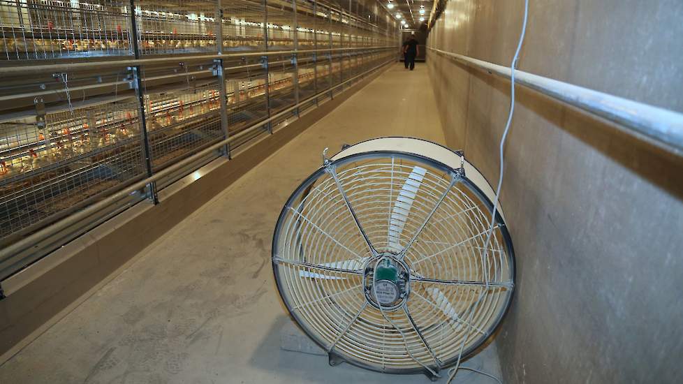 Door de ondersteuningsventilatoren in de gangpaden wordt de warme lucht de eerste twee weken gelijkmatiger verdeeld.