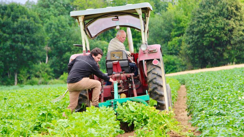 Aardappelen vormen het hoofdgewas in het bouwplan. De maatschap teelt Annabelle, Belana, Challenger en Fontane. Het grootste deel is bestemd voor de friet.