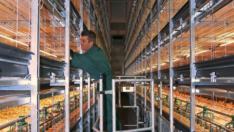 Door middel van het inspectieplatform sta je altijd oog in oog met de kuikens. „De controle van de kuikens kost wat meer tijd dan in een grondstal. Uitval noteren, aanpassingen in klimaat of verlichting; dat kunnen we allemaal met de mobiele telefoon”, le