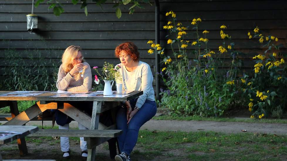 Naast het grote grasland achter de boerderij, waren er verspreid over het erf ook andere zitgelegenheden gerealiseerd.