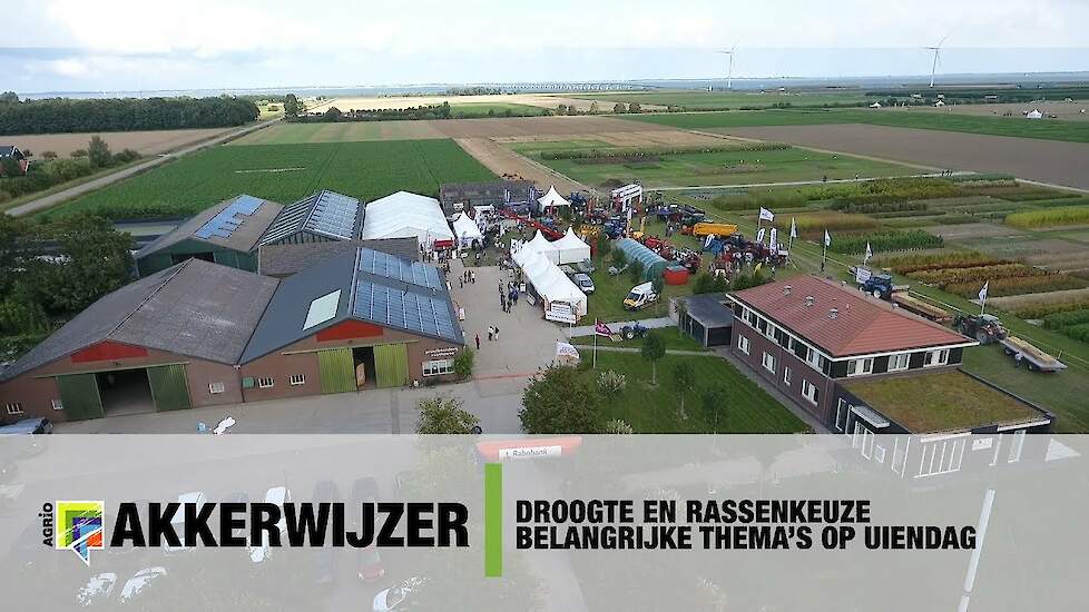 Droogte en rassenkeuze belangrijke thema’s op Uiendag