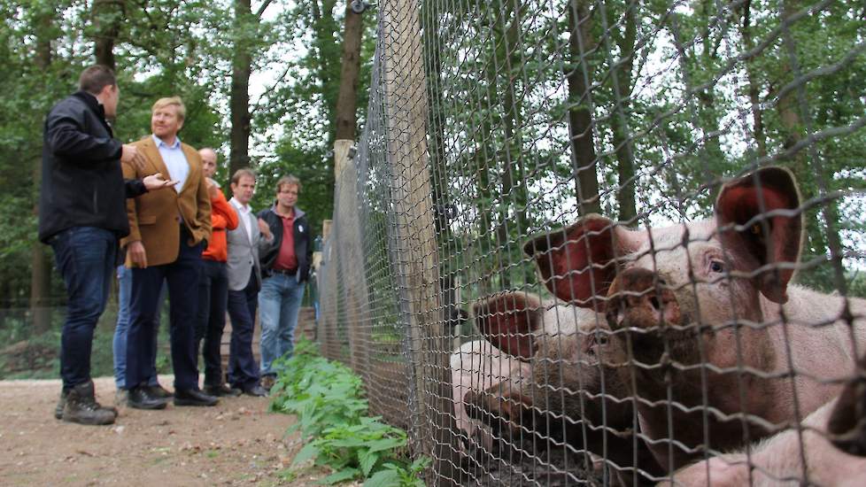 Een aantal initiatiefnemers van de Herenboerderij in Boxtel heeft de stichting Herenboeren Nederland opgericht om het initiatief te verspreiden over het land. Er zijn inmiddels in Nederland op ongeveer twintig locaties initiatieven gestart, waaronder veel