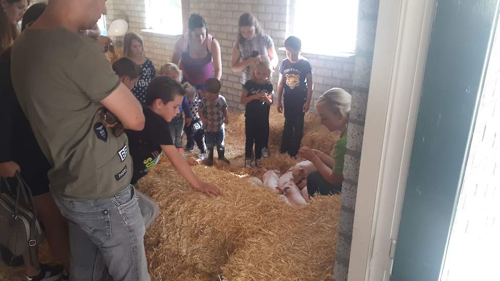 Mensen kennis laten maken met dieren is een van de doelen van het Weekend van het Varken. ,,Sommige mensen hebben nog nooit een varken in het echt gezien", zegt Doreen van den Berkmortel.