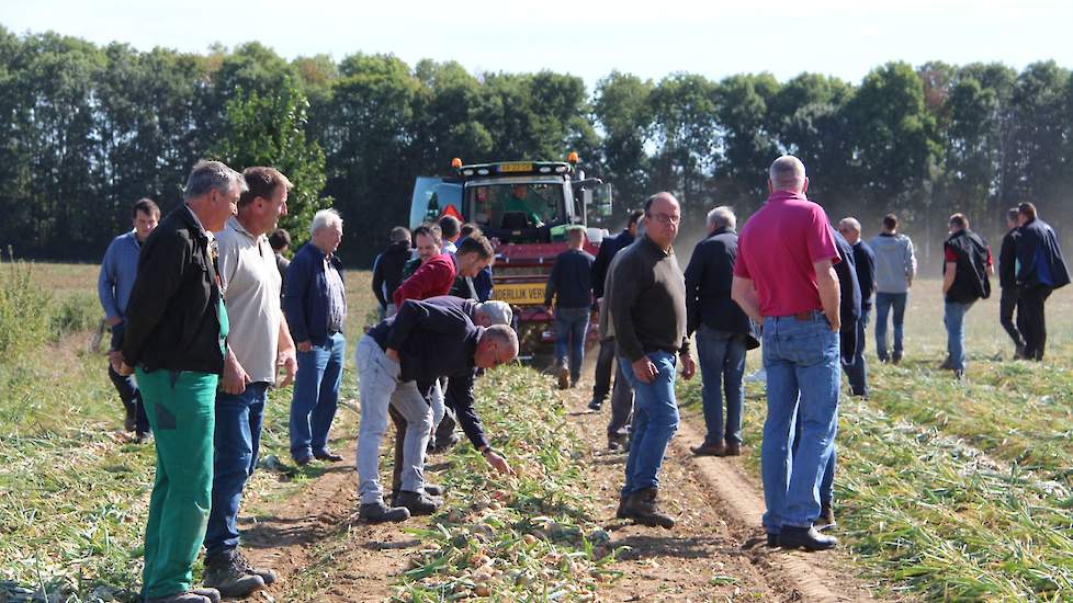 Ruim 50 Limburgse uientelers waren afgekomen om de resultaten van de rassenproef met zes verschillende rassen en de rooidemonstratie met drie verschillende rooiers te aanschouwen.