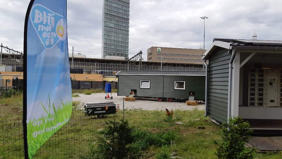 Peter van Agt plaatste de kipcaravan op een voormalig volleybalveld van de studenten naast een studentenflat. „Vorige week was het Dutch Design Week. Tijdens dit evenement was het extra druk in de stad. Om nog meer aandacht te krijgen voor de kipcaravan h