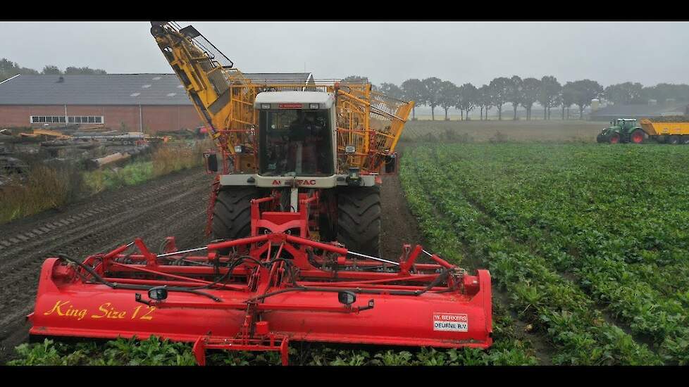 Unique Agrifac 12 rows | Sugarbeet Harvest 2019 | Fendt 724 + 936 | Suikerbieten rooien | Berkers