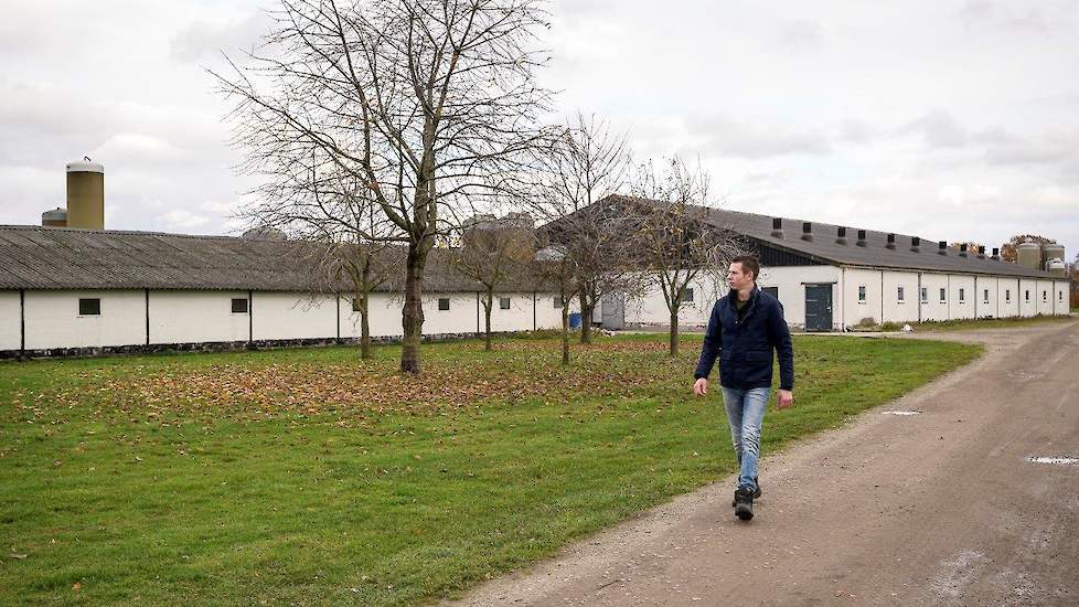 De eerste bouwkundige stap van zijn verbeteringsplannen vormt de vervanging van de kraamstal. De oude kraamstal gaat plaatsmaken voor een nieuwe dekstal en quarantaine stal. Het vervangen van de roosters in de biggenstal staat ook op het lijst inclusief e