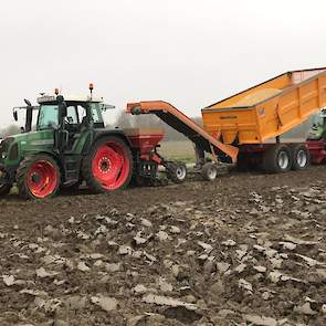 En ook op Goeree Overflakkee zijn de eerste tweedejaars plantuien al weer de grond in gegaan.