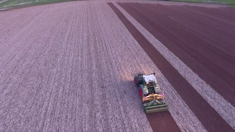 De twee percelen waar loonwerker Cerfontaine voor Henri Kremer de uien heeft gezaaid stond eerst mosterd als groenbemester. In de winter heeft hij de mosterd afgesneden en beide percelen vervolgens in januari losgetrokken.