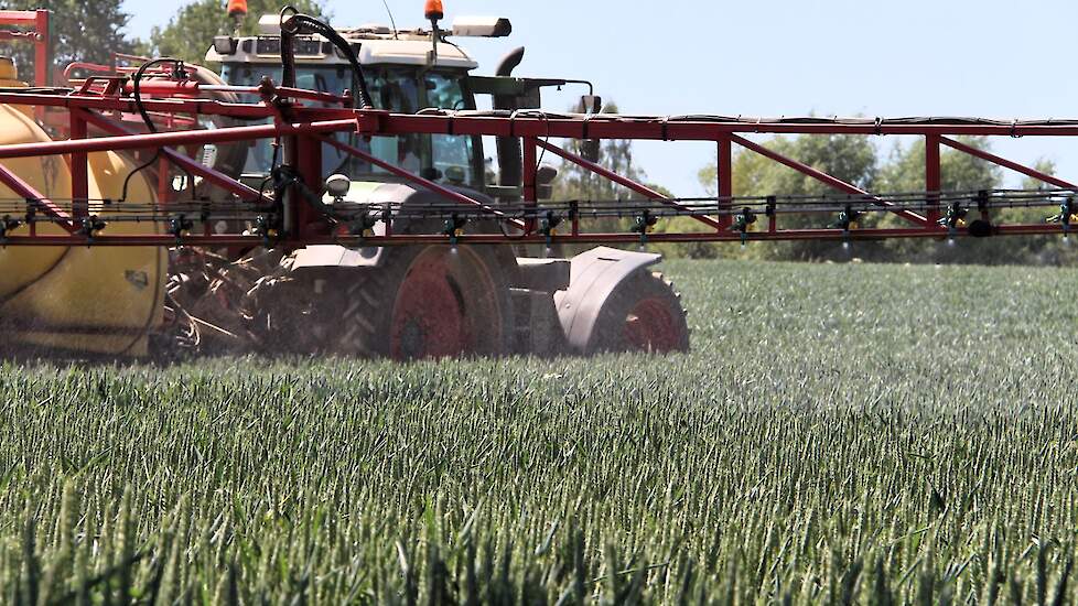 De hogere temperatuur in de afgelopen periode, gecombineerd met de aanhoudende droogte vereist ook extra aandacht voor insecten, zoals graanhaantjes. De uiteindelijke schade door graanhaantjes hangt mede af van stressfactoren zoals weersomstandigheden, bl