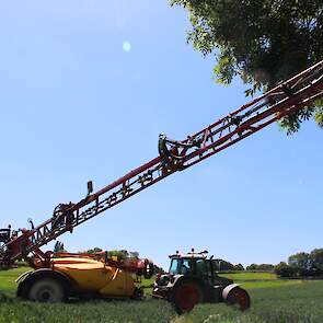 Volgens Syngenta kunnen de slijmerige larven van graanhaantjes schade veroorzaken aan graan. Voor wie het maximale uit zijn graanteelt wilt halen, is het dan ook zaak om het vlagblad zolang mogelijk hiervan te vrijwaren. Syngenta adviseert om regelmatig h