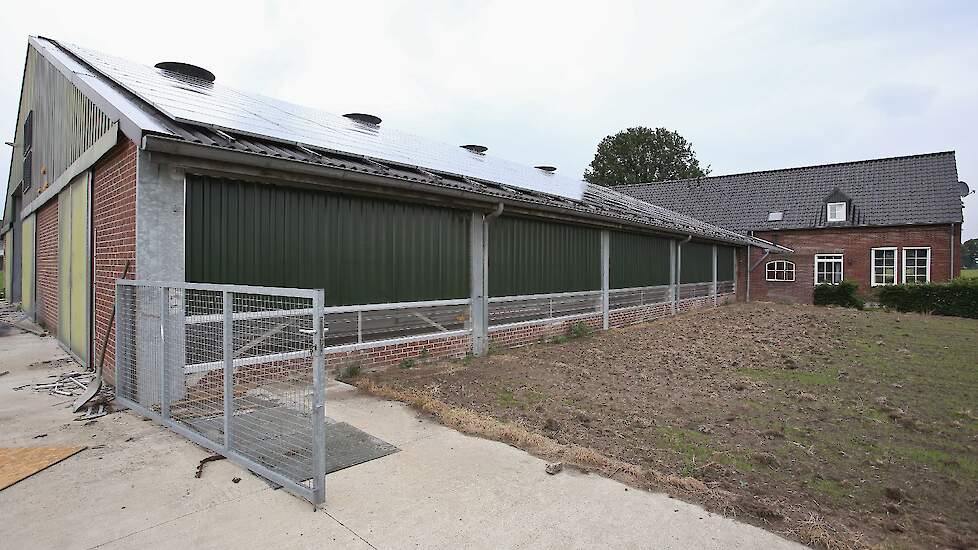 Op de zuidkant van het staldak van zijn voormalig ligboxenstal liggen zonnepanelen waardoor Nies voor een groot gedeelte zelfvoorzienend is in stroomverbruik.