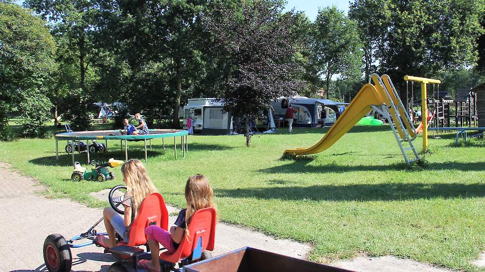 Veel kinderen zijn er altijd op de camping in Wilbertoord.