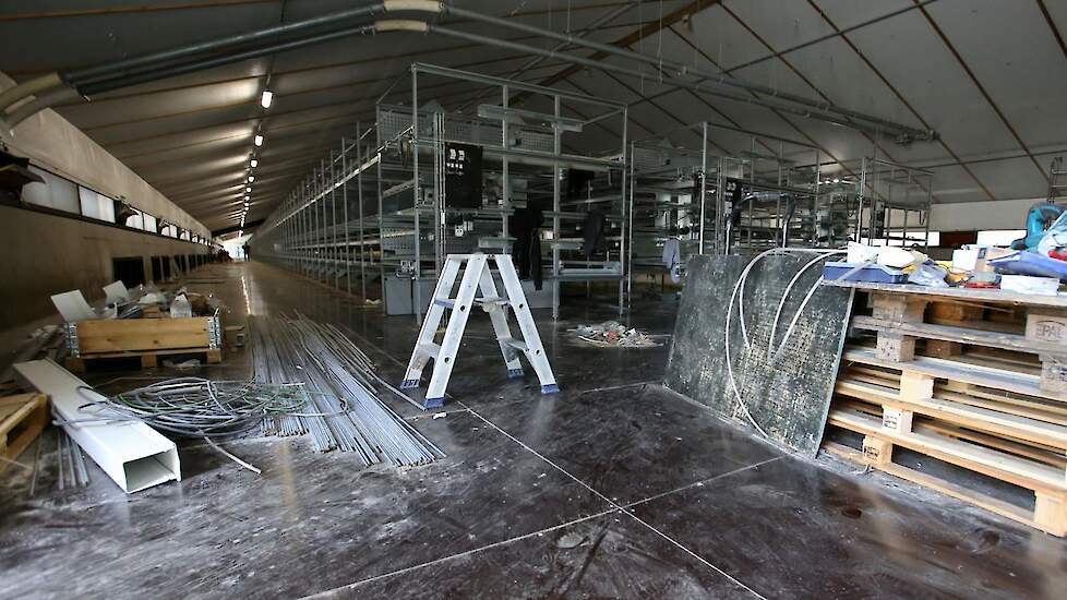 De bovenste etage van de middelste stal. Siemons verving ook de vloerplaten en het asbest dak. Tijdens het slopen kwamen er vogelmijten uit de kieren en het volièresysteem en die waren snel bij de kippen in de naastliggende twee etagestal. Siemons heeft h