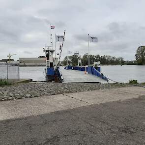 De oprit naar de veerboot aan de Gelderse kant in Nederasselt. Boeren die de boot vanaf die kant willen gebruiken kunnen terecht in de Veerstraat.