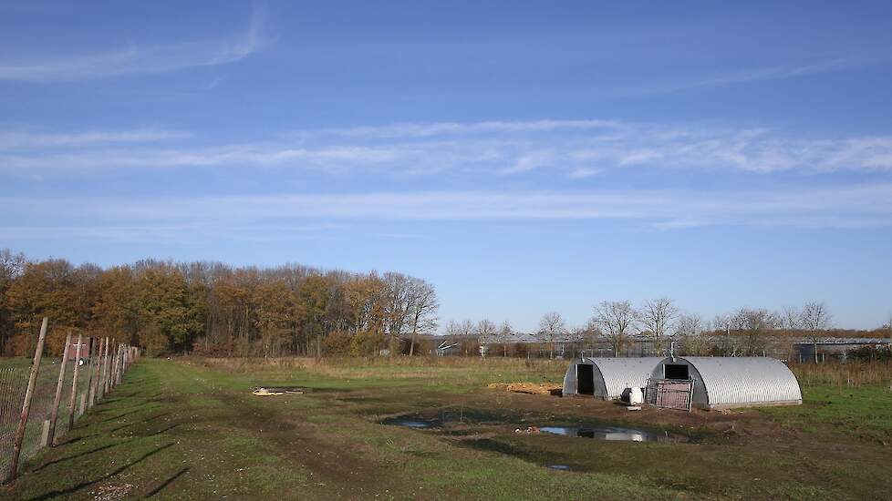 Coolen houdt sinds 2006 400 Landvarkens. Eerst had hij nog IKB, maar na een paar jaar stopte hij hiermee. „Ik heb IKB niet nodig, ook zonder IKB verkoop ik mijn varkensvlees wel”, zegt Coolen. „Voor mijn bouwbedrijf had ik één ordner administratie. Als ik