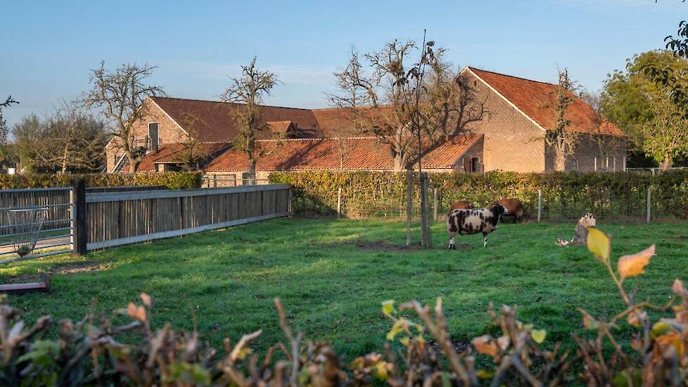 In 2008 kochten Jos en Gerry het bedrijf van de buurman waar ze een zorgboerderij en groepsaccomodatie startten. Gerry is verantwoordelijk voor de zorgboerderij en groepsaccommodatie Ingelshof die ze hebben opgericht in de carréboerderij naast het legplui