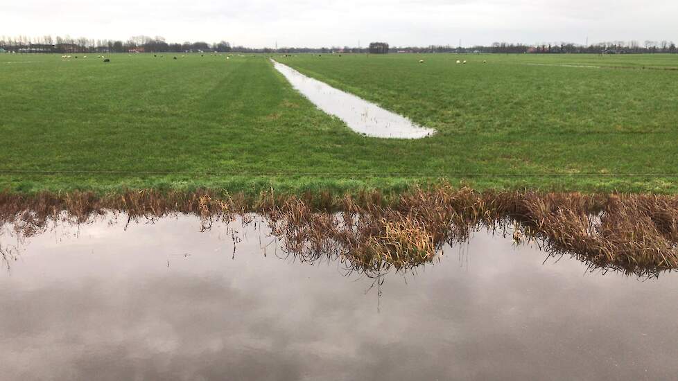 Hoge waterpeilen in het werkgebied van WDODelta.