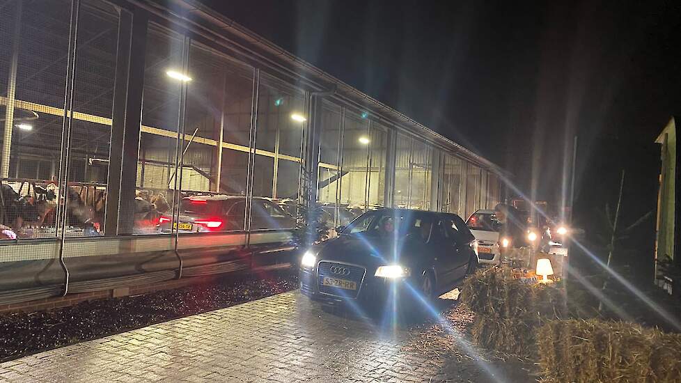 Auto's langs en door de stal op het melkveebedrijf in Hedel (GD).