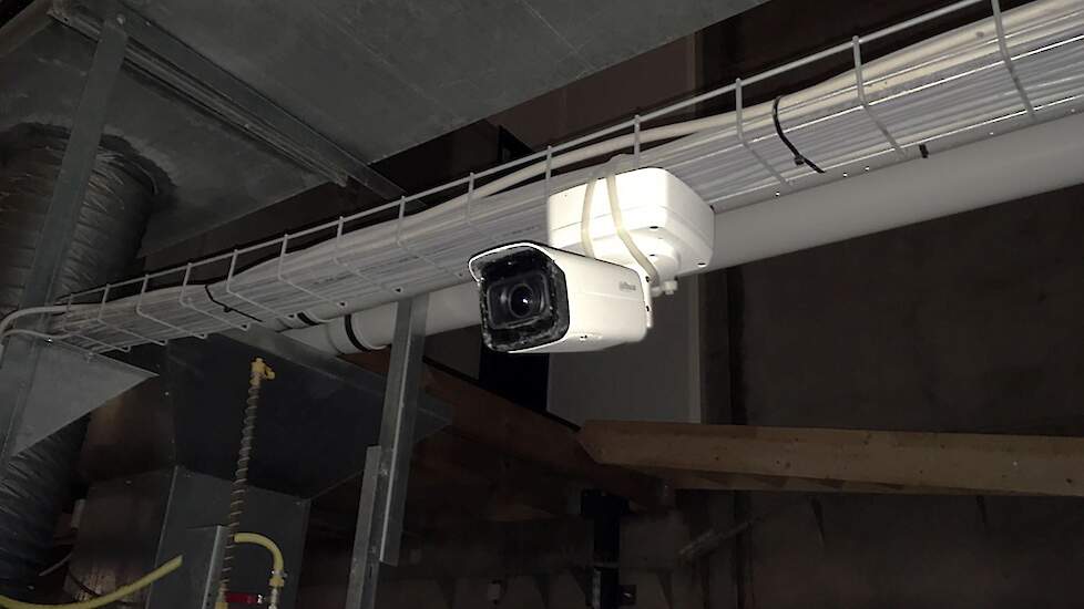 Voor in de stal hangt een camera. „We lopen iedere morgen, middag en avond een keer door alle gangpaden van iedere stal rond. Maar ik wilde een camera zodat ik op mijn telefoon kan zien hoe de opfokhennen zich gedragen en of het voer en water allemaal doe