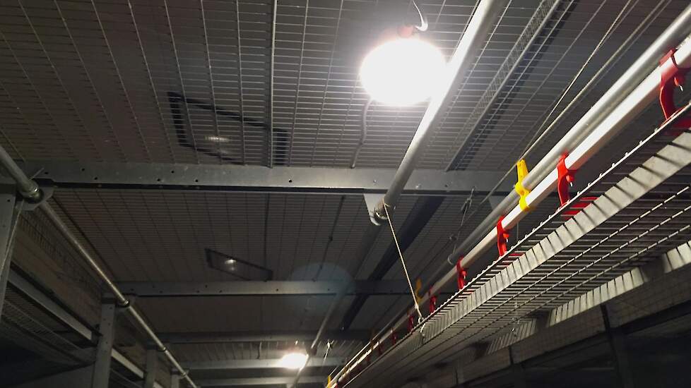 De familie koos voor Corax ledverlichting van Hato Lighting waarmee ze kunnen overschakelen op rood licht. Hoewel ze het rood licht nog niet hebben gebruikt, is de familie zeer enthousiast over de ledverlichting. „Na het schoonspuiten zijn wel eens Tl-bui