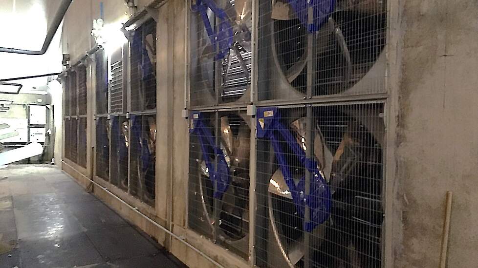 De stal is uitgerust met nokventilatie en lengteventilatie. De vier nokventilatoren verzorgen de eerste stap van de ventilatie. Daarna schakelen de lengteventilatoren erbij in. „In de winter redden we ons grotendeels met de vier nokventilatoren”, zegt Cin