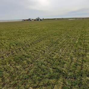 In Zeeland (Sirjansland) heeft het minder hard gevroren en gesneeuwd.