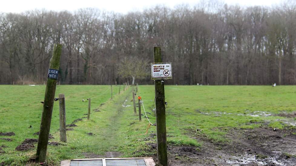 Een wandelpad met rechts een ooievaar en een zilverreiger.