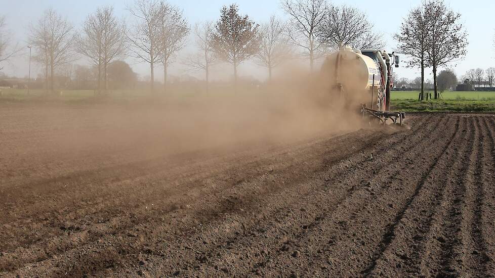 „Typisch zandgrond”, zegt Sevenster. „De ondergrond is nat terwijl de bovenste laag alweer droog is.”