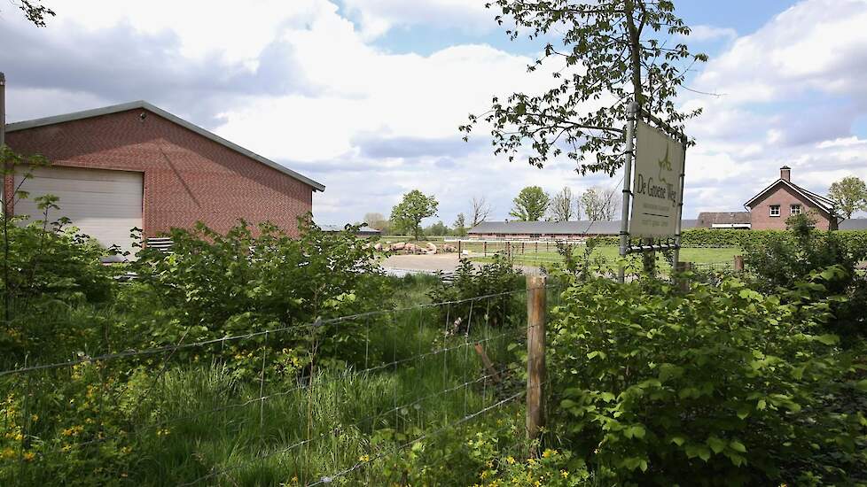 Familie van Veen had eerst een gangbaar bedrijf met 500 zeugen in Boekel, zo’n tien kilometer verderop. Daar zaten ze vlak naast een psychiatrische instelling. Omdat de patiënten in de stankcirkel zaten, wilden ze daar weg. Eerste keken ze in de buurt naa