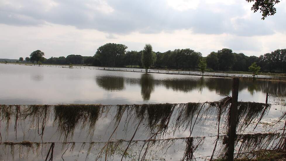 Van de Eertwegh heeft geen brede weersverzekering afgesloten. „ Instromend water valt niet onder de verzekering. Dus ook al waren we verzekerd, we zouden geen schadevergoeding ontvangen. Daarnaast is de kans op hagelschade hier kort bij de Maas zeer klein