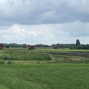 Drie rooimachines van vanRijsingen aan het werk in Leuth (GD). Klik op de foto voor een vergroting.