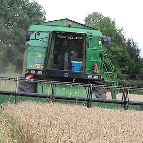 Een perceel van 4,5 hectare op hemelsbreed 1,5 km is na de forse regenval twee weken geleden geheel plat geslagen. Gelukkig liggen de halmen circa 30 centimeter boven de grond. „Hier staat hetzelfde ras (KWS Keitum) en is (gelukkig) slechts deels plat ges