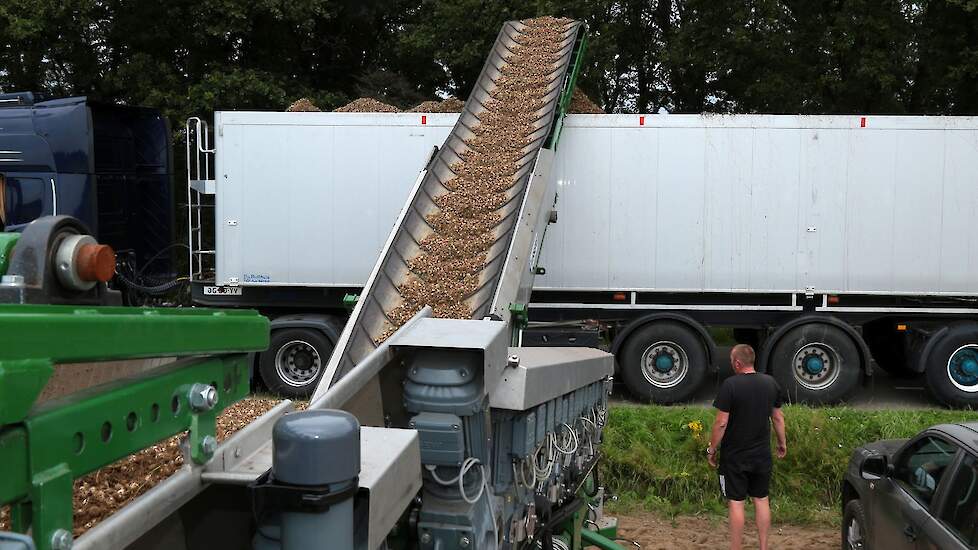 Op de vrachtauto’s gaan de zilveruitjes, die circa 50 ton/ha opbrengen, naar de fabriek in Creil (Noordoostpolder) alwaar Veco BV ze verwerkt tot een halffabricaat voor de conserven- en diepvriesindustrie. Daartoe worden de uitjes gewassen, op maat gesort