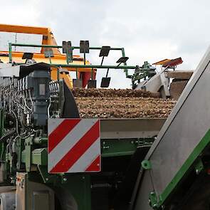 De teelt en verwerking van zilveruien is de hoofdactiviteit. Veco BV teelt bijna al haar zilveruien in eigen beheer. De teeltgebieden liggen in de Noordoostpolder, Drenthe en Limburg.