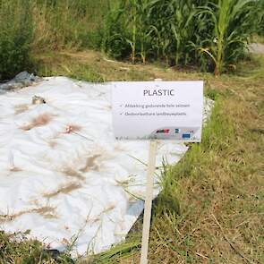 Afdekking van het onkruid met kuilplastic gedurende het groeiseizoen.