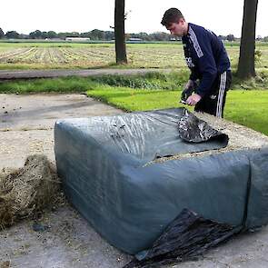 De zoon van Gerard Louwers, Dirk, snijdt een baal hooi open.