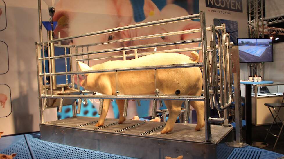 Dierenwelzijn is een cruciaal aspect binnen de Europese wet- en regelgeving. In de traditionele varkenshouderij heeft zich dit onder andere vertaald in een focus op vrije uitloop voor zeugen in kraamhokken. Nooyen Pig Flooring heeft al ruime ervaring met