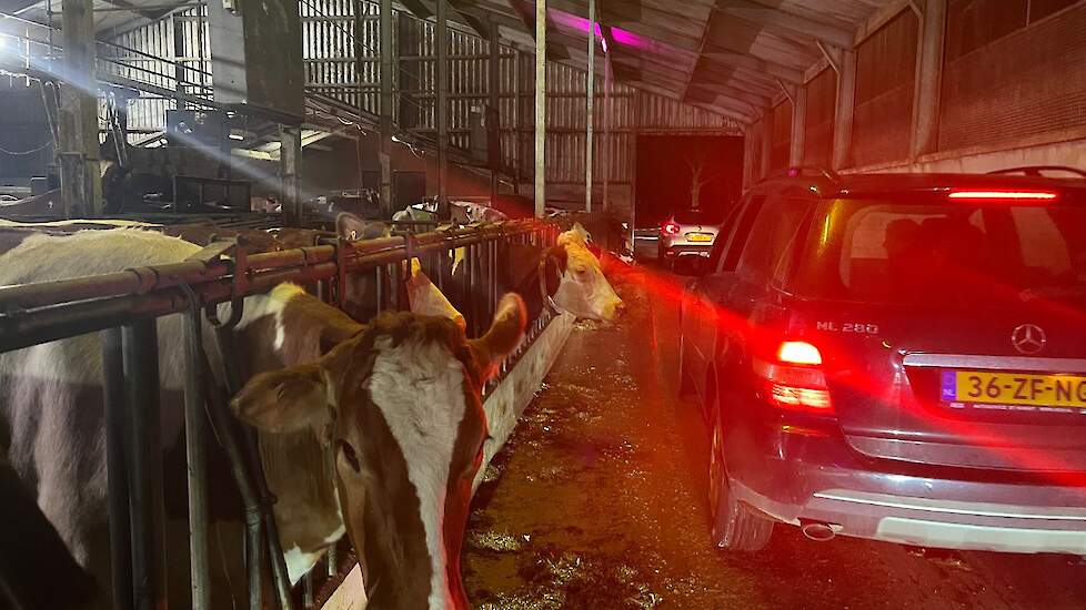 Veel deelnemers maakten een tweede rondje door de stal.